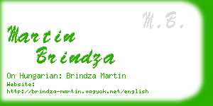 martin brindza business card
